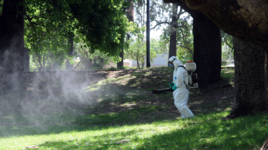 Los trabajos de bacheo, fumigación e iluminación previstos para este 8 de abril