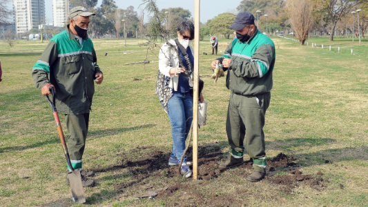 Las tareas de bacheo, fumigación e iluminación previstas para este 13 de abril