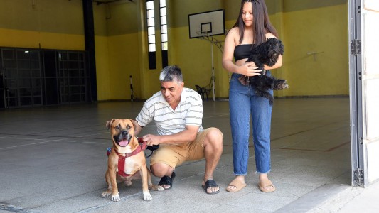 Adopciones y vacunación de animales de compañía: ¿Dónde y cuándo?