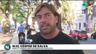 Intentaron robar panes de césped en espacios públicos