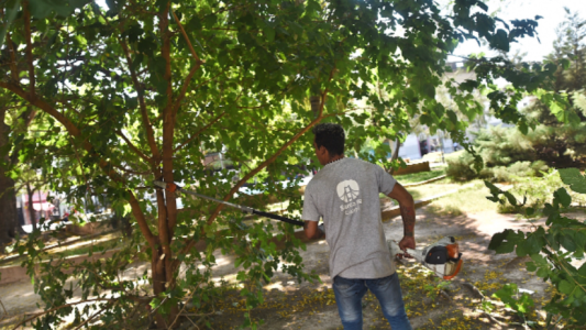 Los trabajos de iluminación, arbolado y bacheo previstos para este 20 de abril