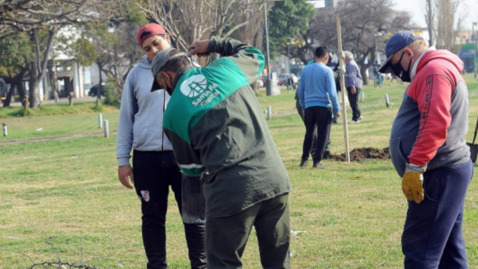 Trabajos de iluminación, arbolado y bacheo previstos para este 25 de abril