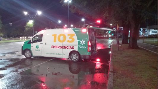 Los cortes de tránsito por árboles caídos en la ciudad