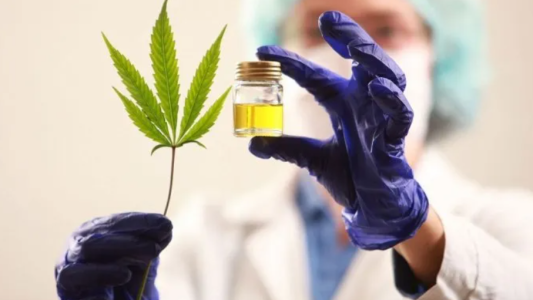 La Defensoría del Pueblo a favor del uso medicinal del cannabis