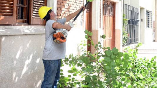 Trabajos de iluminación, arbolado y bacheo previstos para este 28 de abril