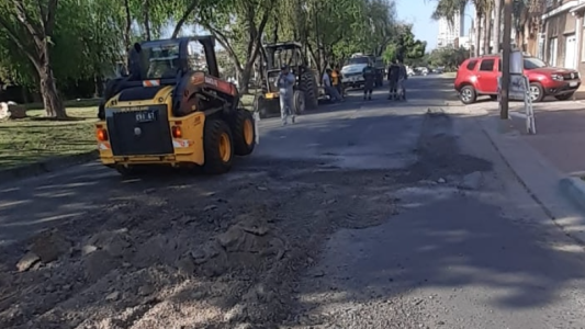 Cuáles son las tareas de bacheo y arbolado previstas para este viernes