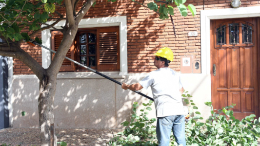 Las tareas de arbolado, iluminación y bacheo previstas para este 3 de mayo