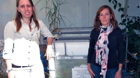 El aporte del Conicet Santa Fe a la construcción y el manejo de camas biológicas