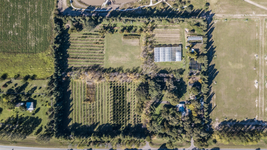 La UNL plantará un árbol por cada graduada y graduado