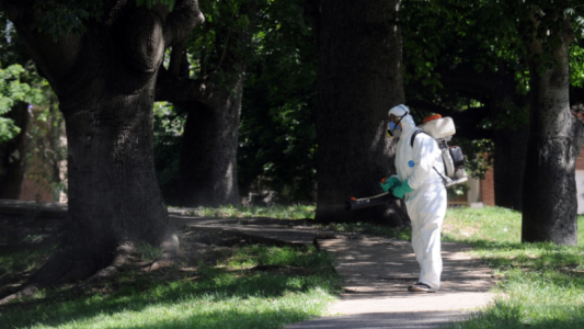 Siguen los trabajos de fumigación ante la invasión de mosquitos