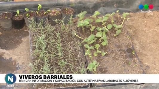 Continúan capacitando a jóvenes para el desarrollo de Viveros Barriales