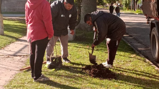Trabajos de fumigación, iluminación y bacheo previstos para este 12 de mayo