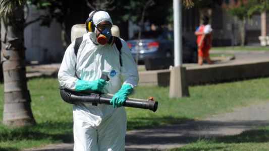 Invasión de mosquitos: Hoy se fumigará en la zona de la Costanera Oeste