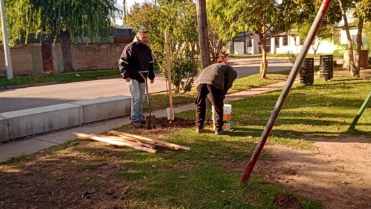 Las tareas de fumigación, iluminación y bacheo previstos para este 19 de mayo