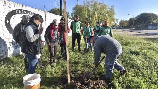 El nuevo Plan de Arbolado incluye el compromiso y la colaboración de los vecinos