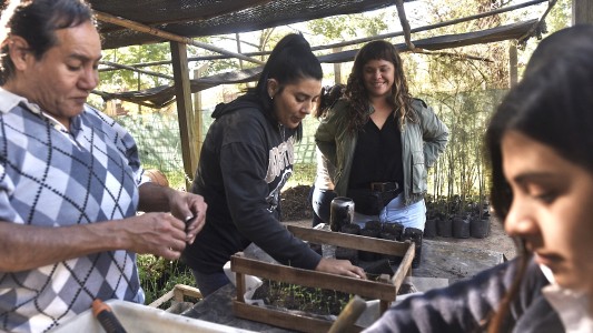 Viveros barriales: continúan las capacitaciones en el Jardín Botánico