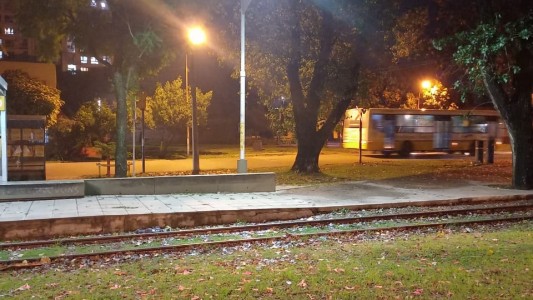 Los trabajos de iluminación, arbolado y bacheo previstos para este 23 de mayo