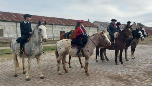 Marchan a caballo a la Casa Gris en reclamo por el robo y faena de equinos