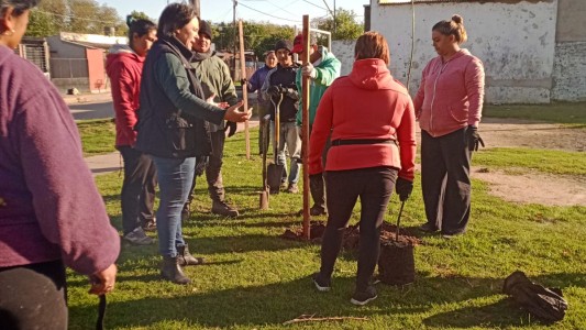 Los trabajos de arbolado, bacheo e iluminación previstos para este 30 de mayo