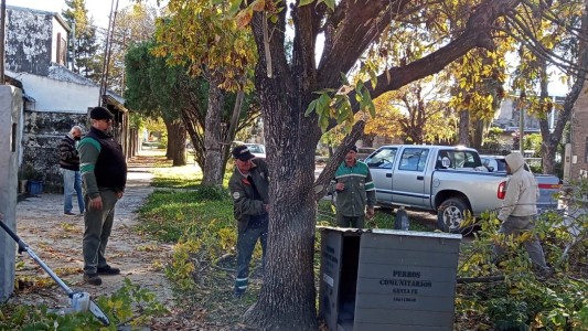 Las tareas de arbolado, bacheo e iluminación previstos para este 2 de junio