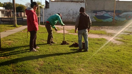 Los trabajos de arbolado, bacheo e iluminación previstos para este martes 7 de junio