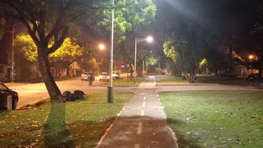 Los trabajos de iluminación, bacheo y arbolado previstos para este 10 de junio