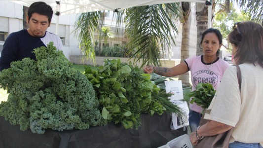 Habrá una Feria Agroecológica en la explanada del Ministerio de Producción
