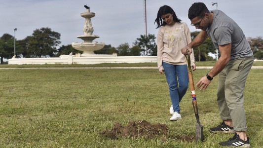 Los trabajos de arbolado, bacheo e iluminación previstos para este 16 de junio