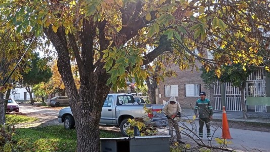 Los trabajos de arbolado, bacheo e iluminación previstos para este 23 de junio