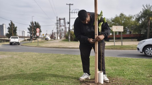Los trabajos de arbolado, bacheo e iluminación previstos para este 28 de junio
