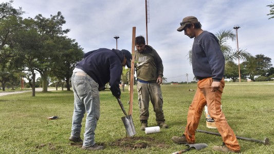 Los trabajos de bacheo, iluminación y arbolado previstos para este 1 de julio