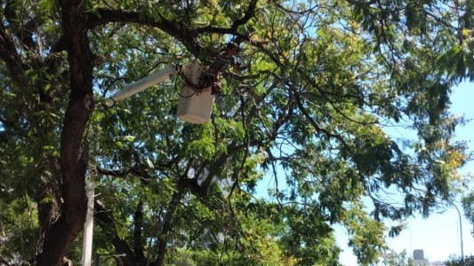 Los trabajos de arbolado, iluminación y bacheo previstos para este 7 de julio