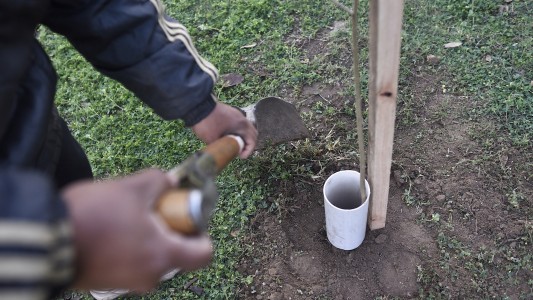Los trabajos de arbolado, bacheo e iluminación previstos para este 1 de agosto