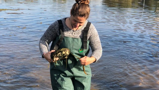 La Municipalidad rescató más de 80 animales no domésticos
