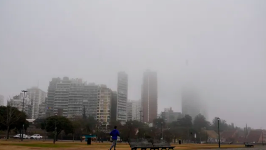 Incendio en las islas: Dramática situación entre Rosario y San Nicolás