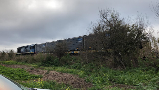 Descarrilaron 10 vagones del Belgrano Cargas en la zona de Monte Vera