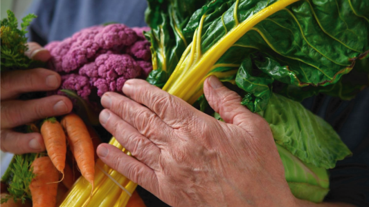 Taller de Alimentación para la prevención de la diabetes y la hipertensión