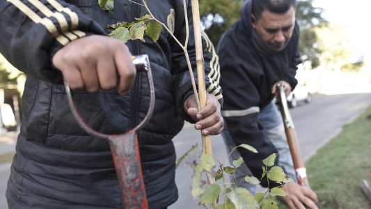 Los trabajos de arbolado, bacheo e iluminación previstos para este 17 de agosto