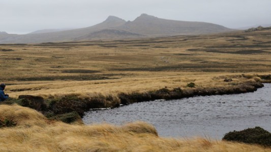 El Gobierno rechazó un concurso de la Embajada británica para llevar universitarios a Malvinas