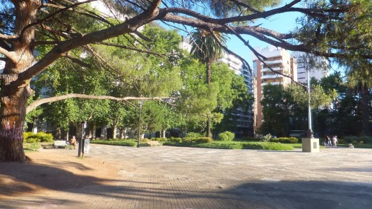 Domingo soleado y frío en la ciudad