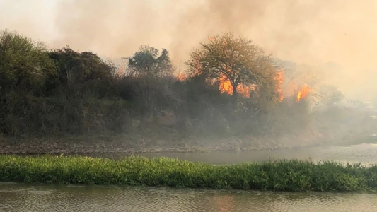 Feroz incendio en las islas frente a Arroyo Leyes