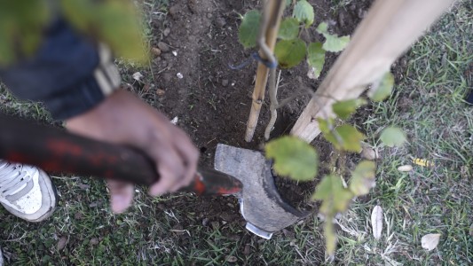Los trabajos de arbolado, bacheo e iluminación prvistos para este 29 de agosto