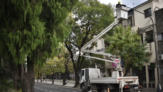 Los trabajos de iluminación y bacheo previstos para este 31 de agosto