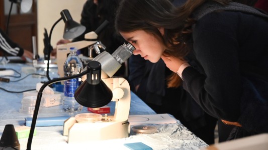 Ciencia y Cultura en la UNL:  El Festival “SuperFIQ” abrió sus puertas