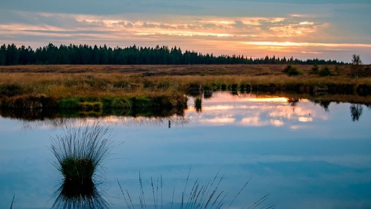 Este domingo habrá en la ciudad una movilización por los humedales