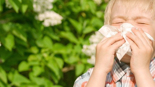 Neffen: "La enfermedades alergicas no se curan, se controlan"