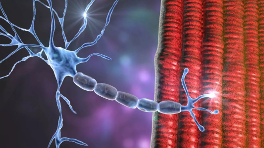 Un nuevo fármaco podría frenar el deterioro de los enfermos de ELA