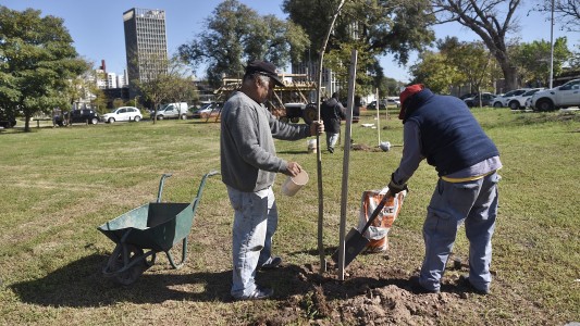 Se plantaron 50 árboles en un espacio del Puerto de Santa Fe