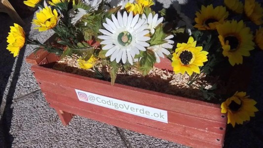 Reciclarnos: emprendedurismo y conciencia ambiental