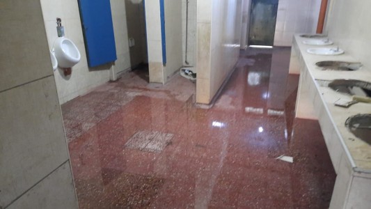 Fotos: en reiterados robos desmantelaron los sanitarios de la escuela Juan de Garay